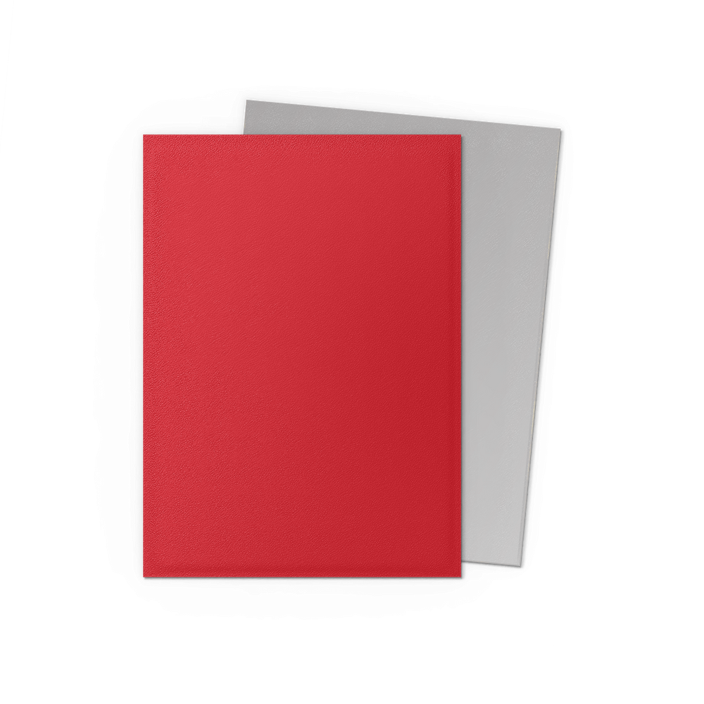 Dragon Shield: Standard 100ct Sleeves - Crimson & Silver (Dual Matte)