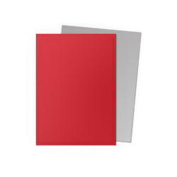 Dragon Shield: Standard 100ct Sleeves - Crimson & Silver (Dual Matte)