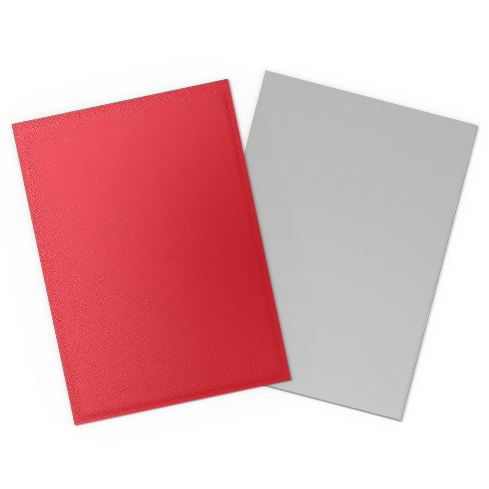 Dragon Shield: Standard 100ct Sleeves - Crimson & Silver (Dual Matte)